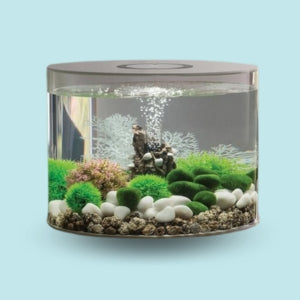 Tanks & Aquarium Kits