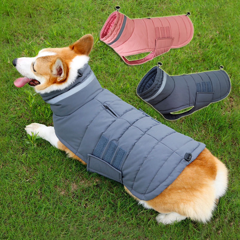 Winter Dog Coat