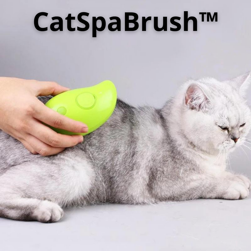 CatSpaBrush™ - Cat Massage and Steam Brush