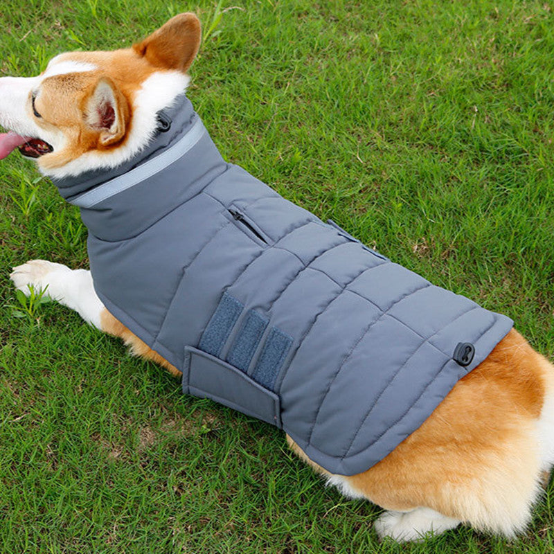 Winter Dog Coat