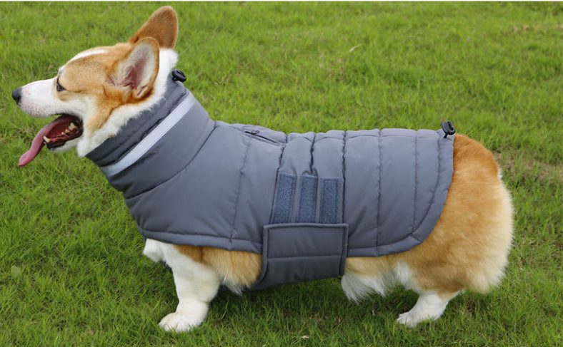 Winter Dog Coat