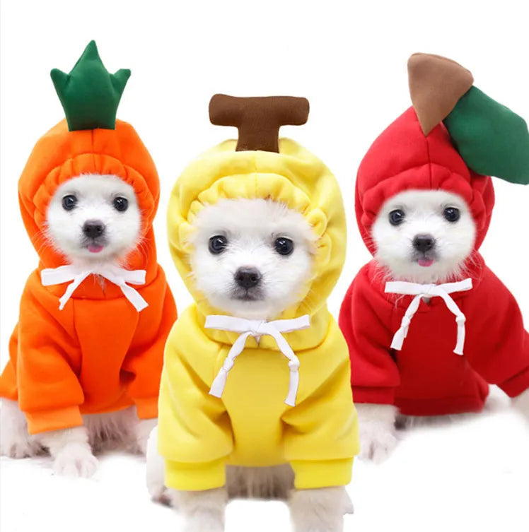 Cute Winter Warm Clothes - Fruit