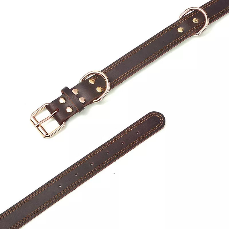 Dog Collar Vintage