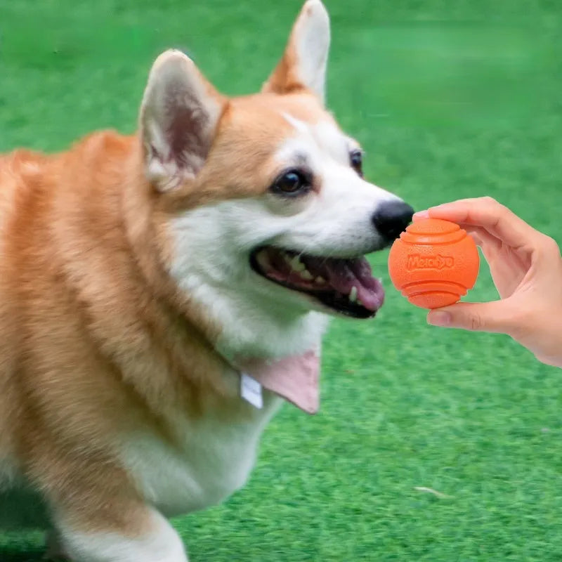 Dog Ball Indestructible