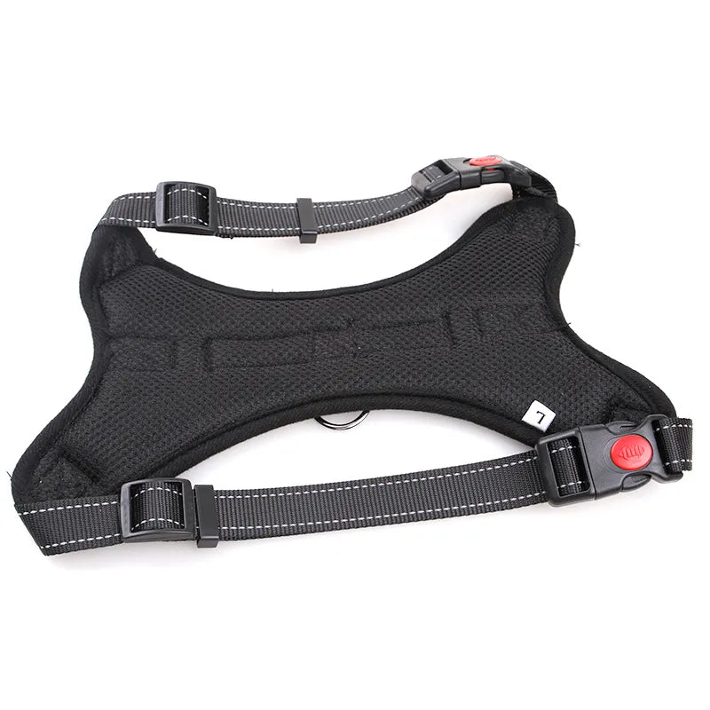 Nylon Colars Harness