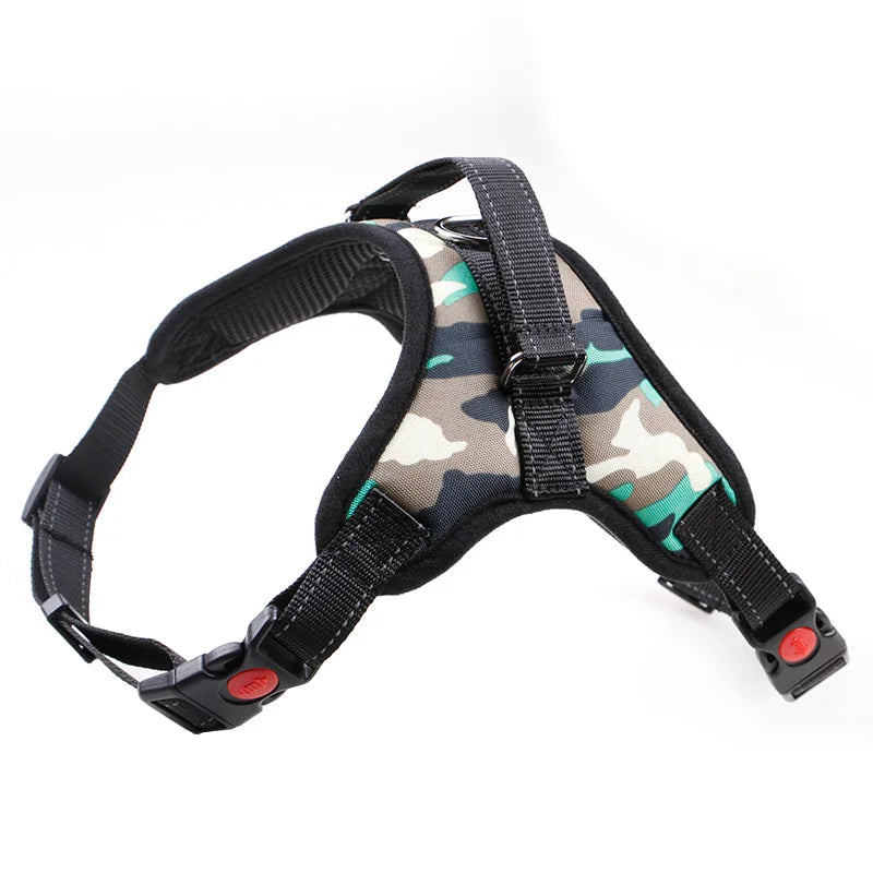 Nylon Colars Harness