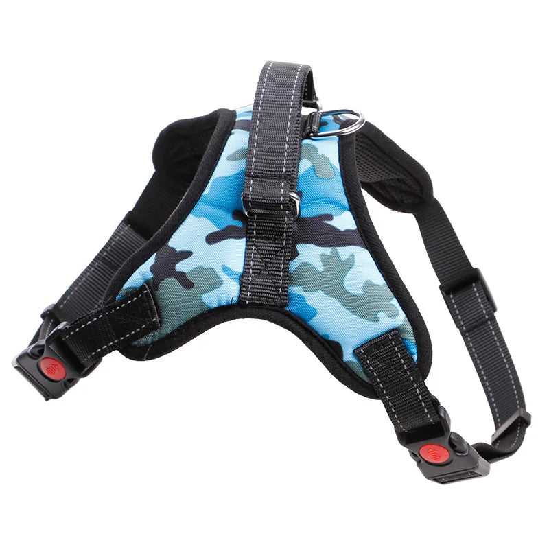 Nylon Colars Harness