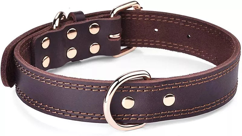 Dog Collar Vintage