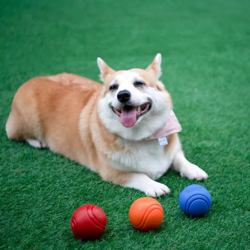 Dog Ball Indestructible