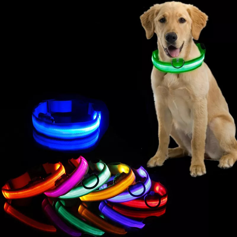 Led Collar