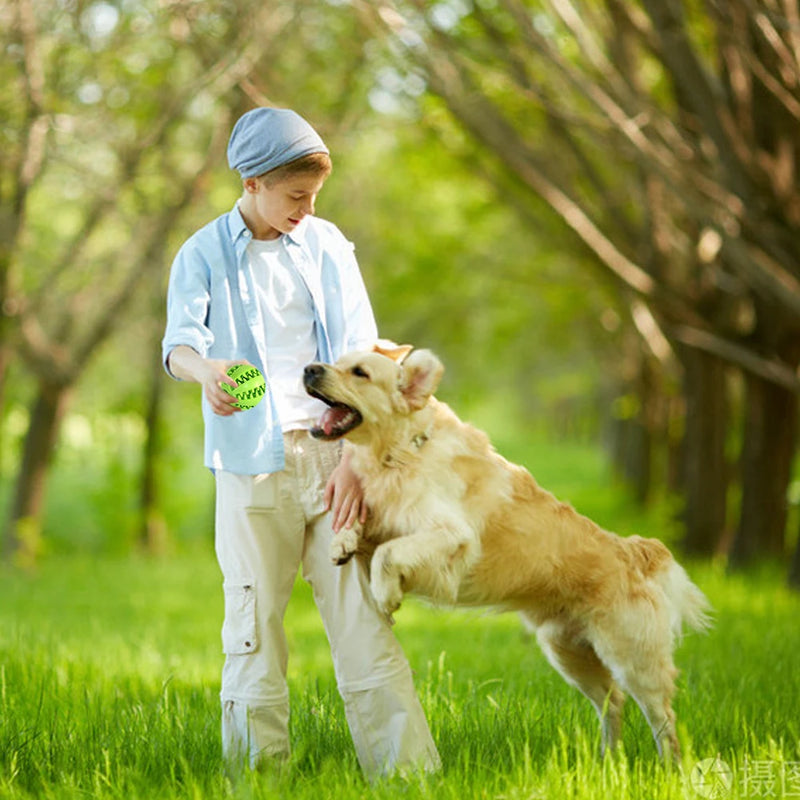 Dog Toy Interactive