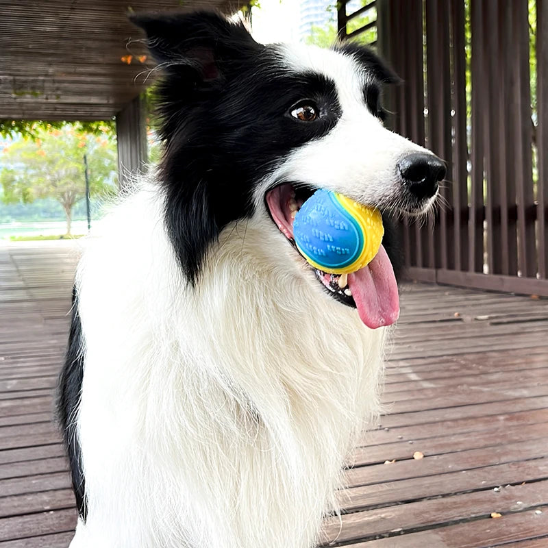 Interactive Ball