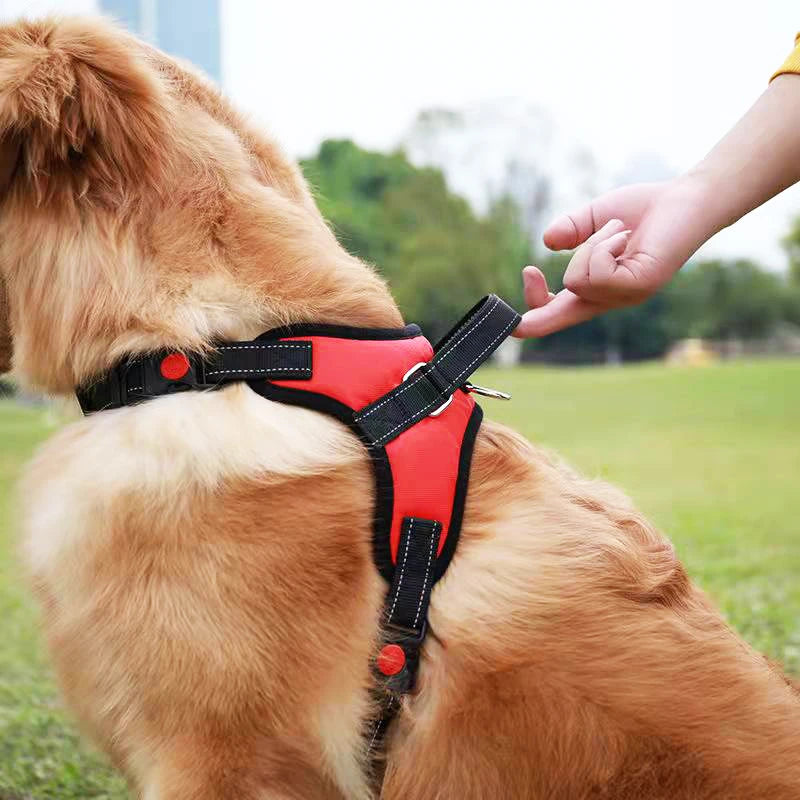 Reflective Dog Harness