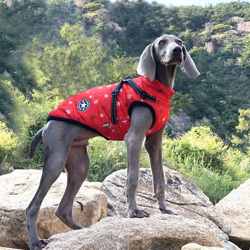 Large Pet Dog Jacket