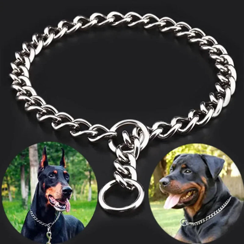 Chain Collar Dog