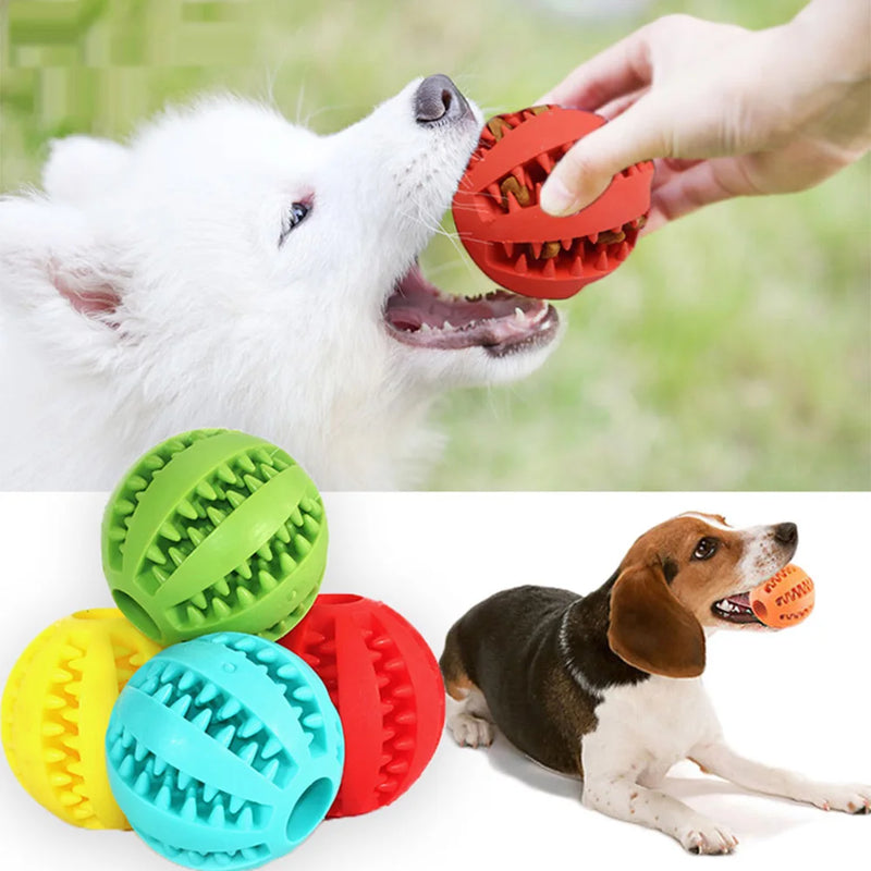 Dog Toy Interactive