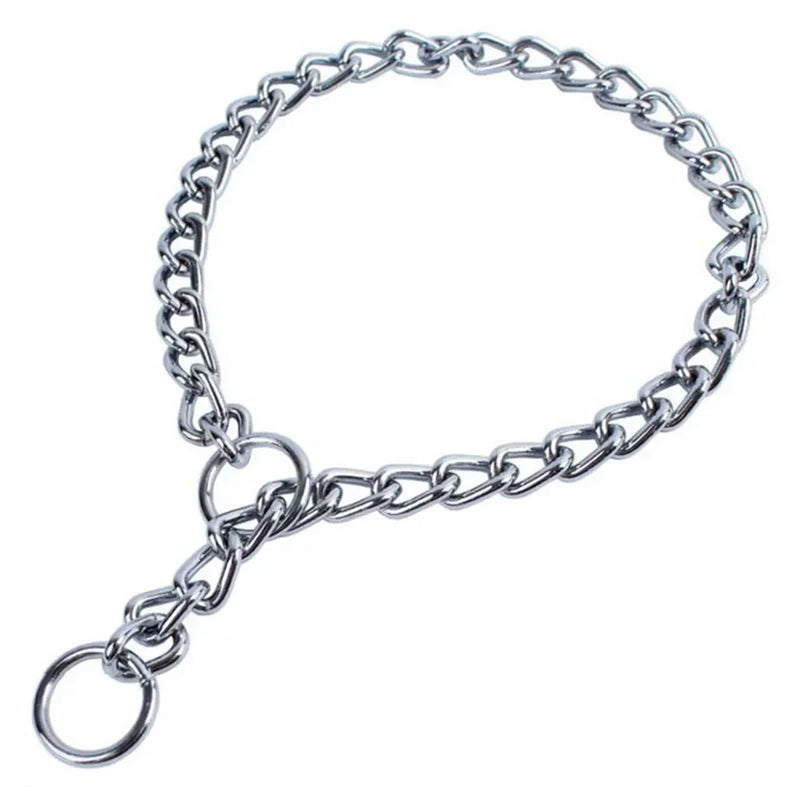 Chain Collar Dog