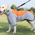 Winter Coat for Large Dogs.