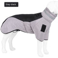 Winter Coat for Large Dogs.